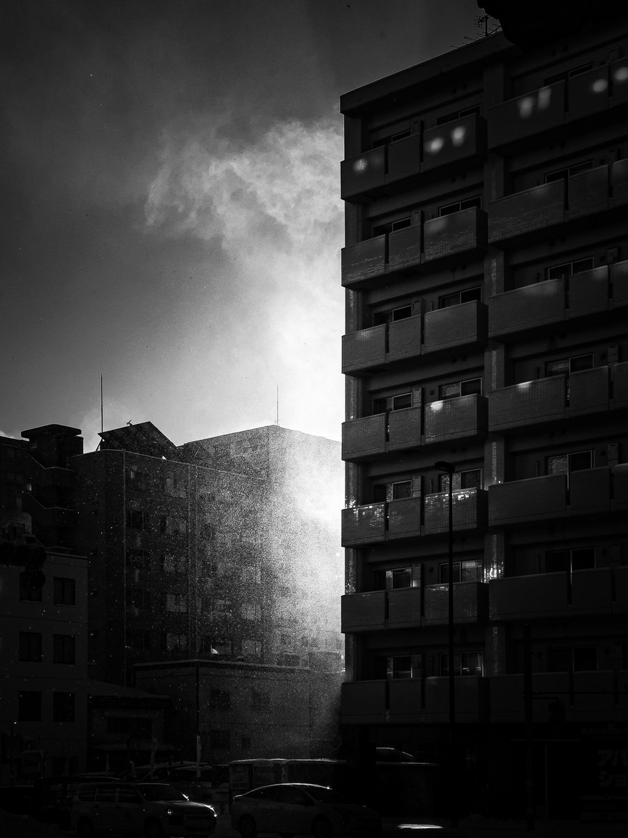 snow particles dancing in the wind #streetphotography