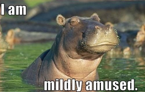 El Hippo tweet media