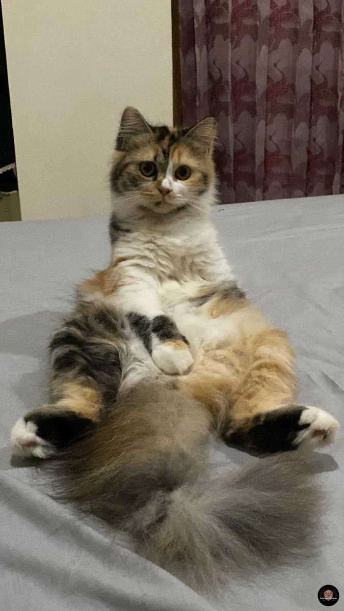 Udayana Menfess #4.1.4 tweet media