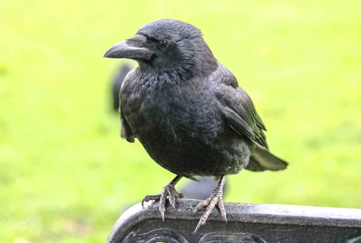 “You’re looking at my feet, aren’t you?  I know, they’re great.”