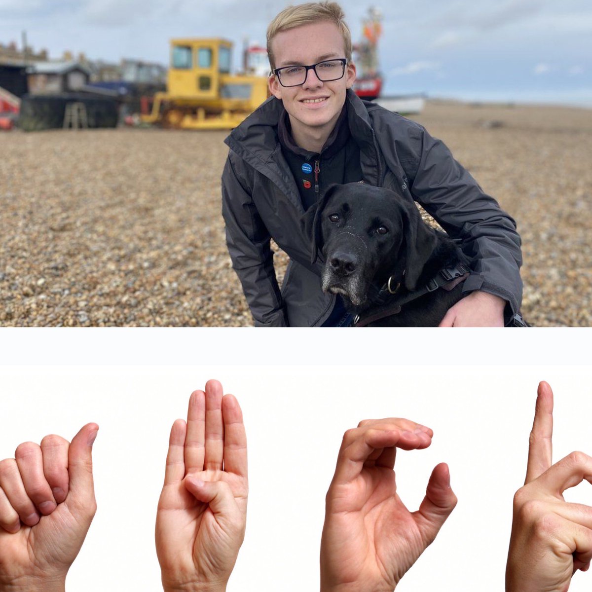 🇬🇧 Les élèves anglais vont pouvoir choisir d’étudier la langue des signes à compter de 2025 ! Une initiative portée par le jeune Daniel Jillings, 17 ans, qui s’engage depuis ses 12 ans pour que sa première langue soit intégrée au brevet des collèges britannique (GCSE) ! 👏 (BBC)