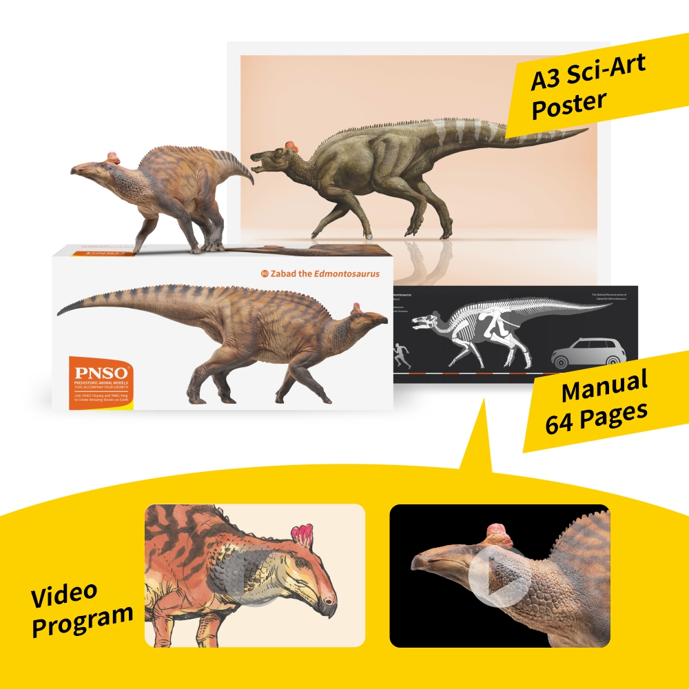 New Release | Zabad the Edmontosaurus from the PNSO Prehistoric Animal Models series will be available in PNSO official online stores soon. - #pnso #dinosaurs #scientificart #collectable #paloart #nature #toycollector