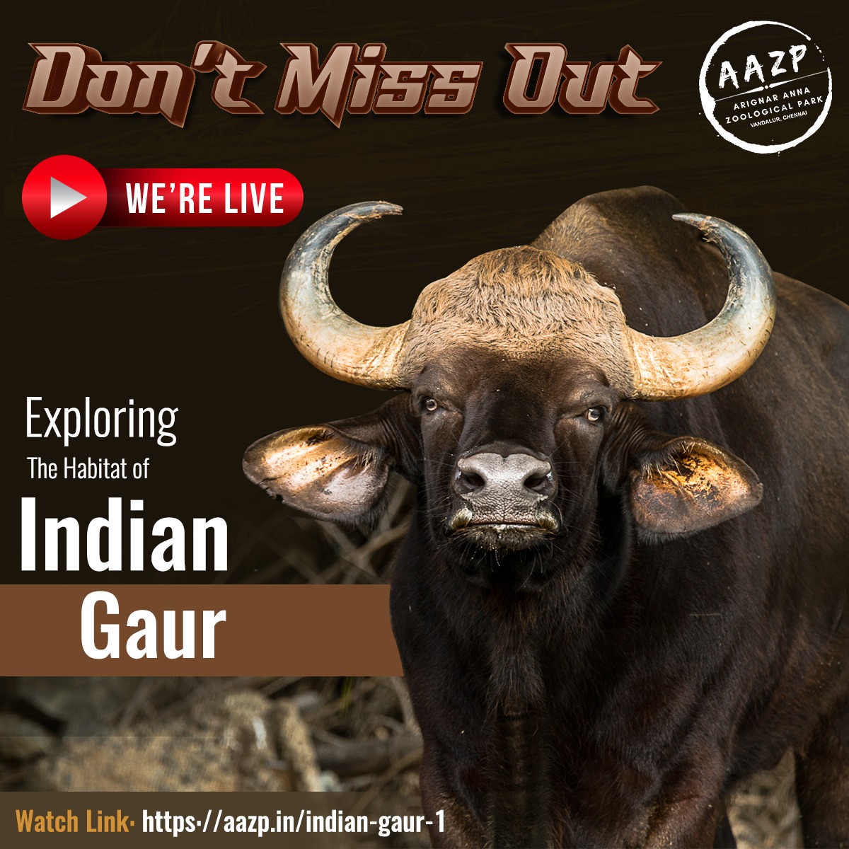 VandalurZoo's tweet photo. Discover the enchanting splendour of Indian Gaur at AAZP through an immersive live-streaming experience.
To Visit: https://t.co/hm4h0cgebV
#AAZP #ArignarAnnaZoologicalPark #VandalurZooChennai #WildlifeWonder #NatureEncounter #WildlifeConservation #HabitatExploration https://t.co/F7tRId6qPl