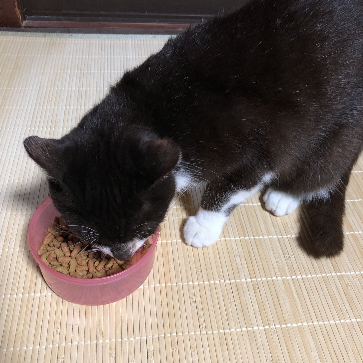 Ost-Wind/Sody tweet media