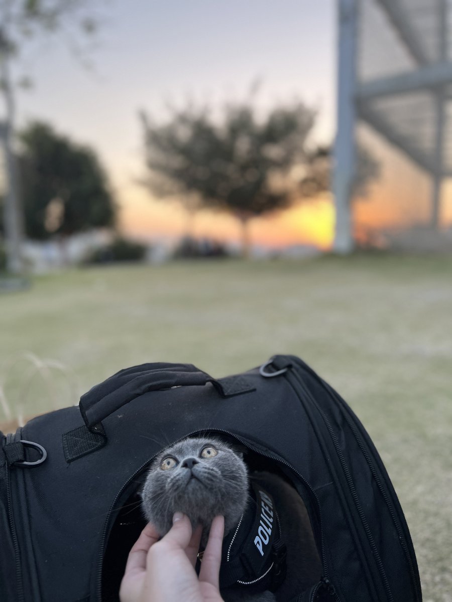 umbrawolves's tweet image. Good morning, world! 🫶