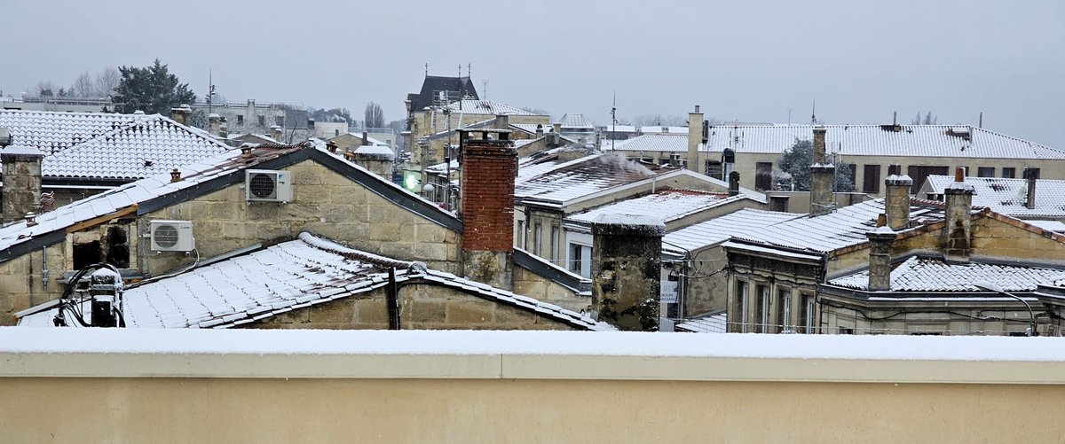 Senioriales de Pessac tweet media