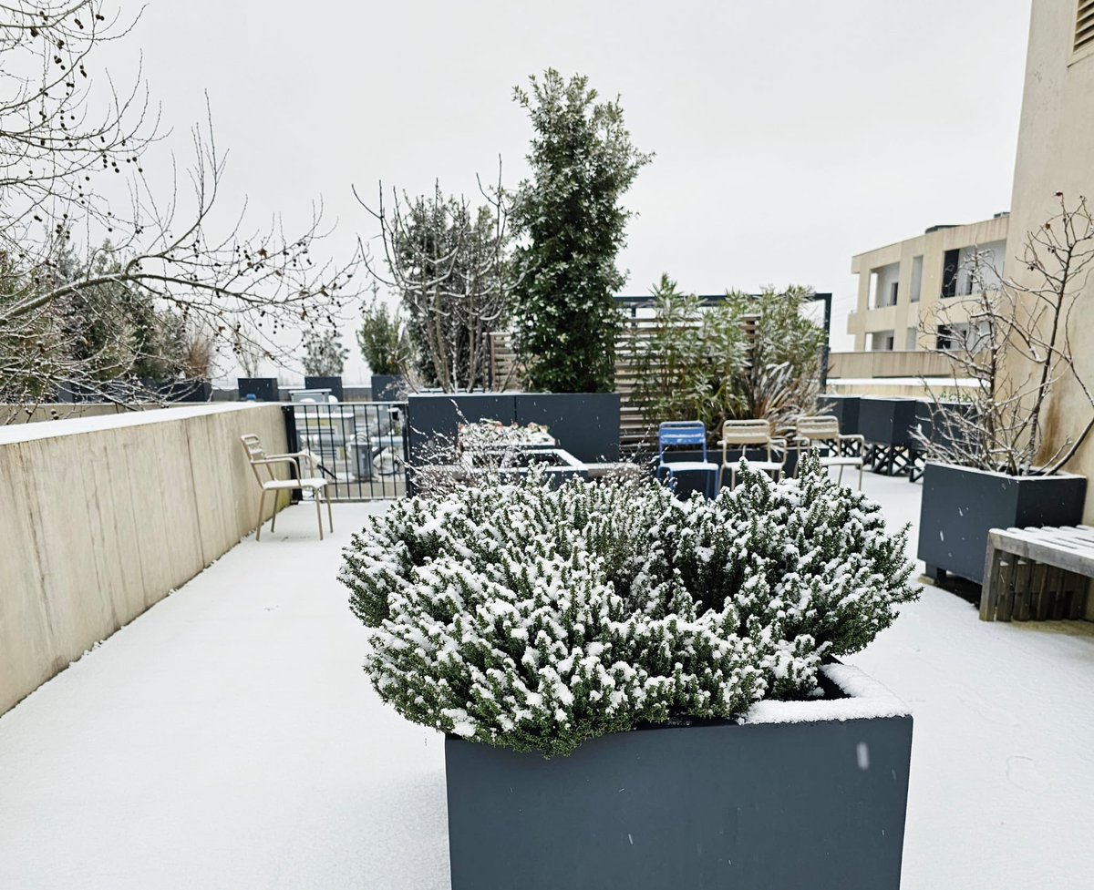 Senioriales de Pessac tweet media