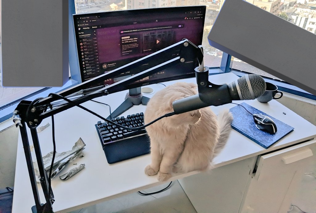 RoxMiral tweet media