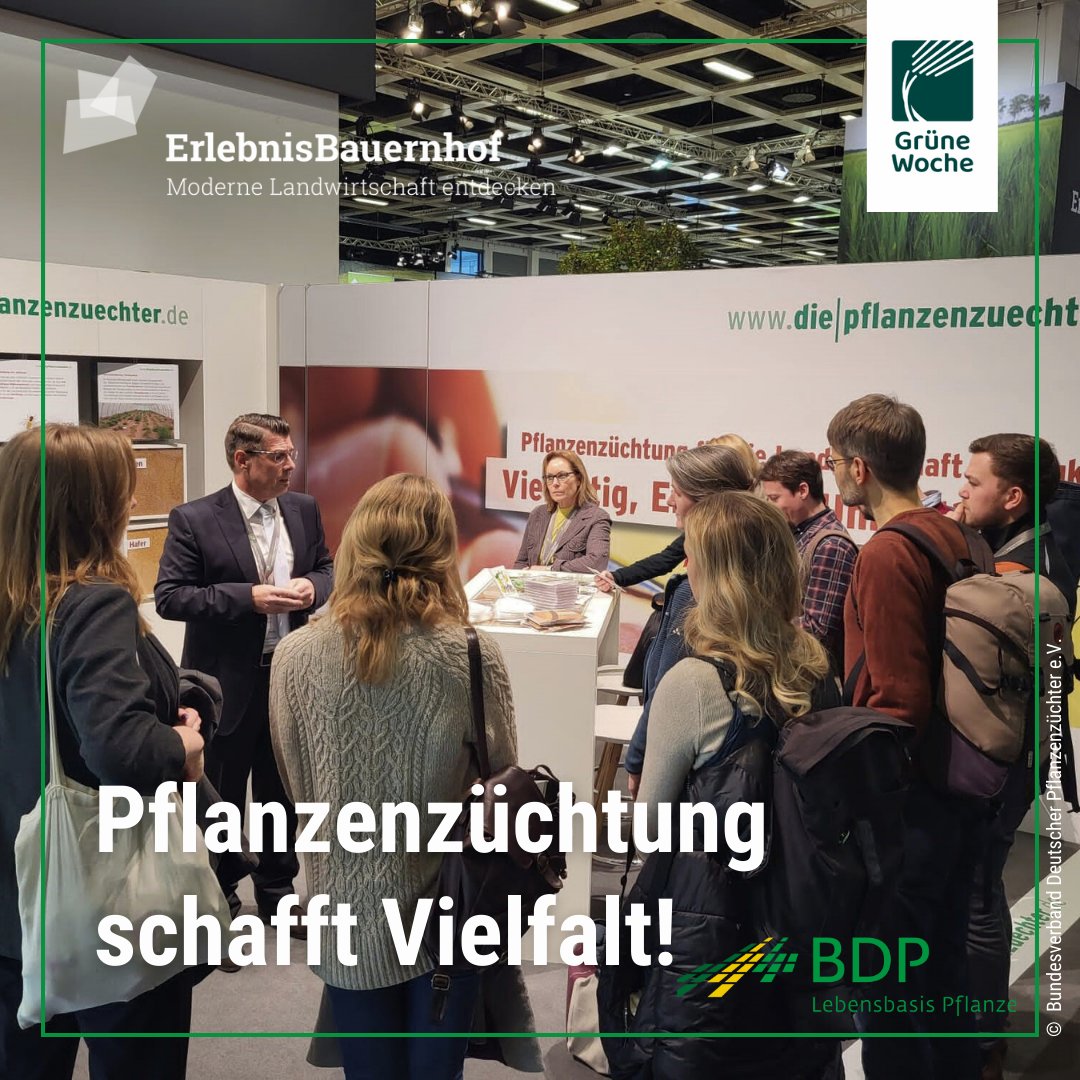 #Pflanzenzüchtung schafft Vielfalt! 🌱Unter diesem Motto stellt der Bundesverband Deutscher Pflanzenzüchter (<a href="/DialogBDP/">BDP</a>)  auf dem #Erlebnisbauernhof die Bedeutung der Pflanzenzüchtung für eine effiziente &amp; nachhaltige #Landwirtschaft vor. Vielfältige Tätigkeitsbereiche der