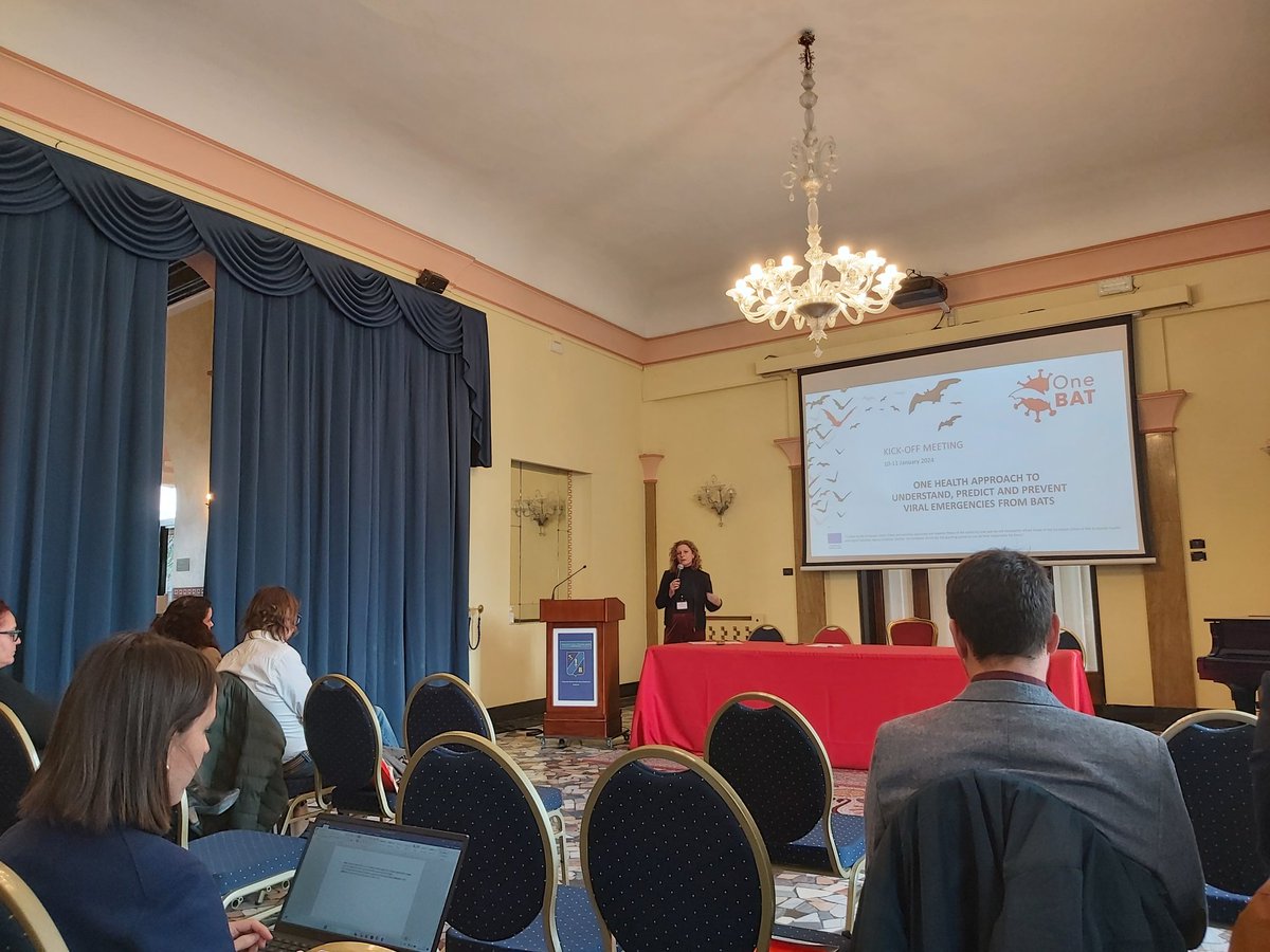 ViralPseudotype's tweet photo. Almost 2 years since the initial @BritishAcademy_ funded pump priming meeting led by @ViralPseudotype in London and later successful @HorizonEU funding, the #OneBAT project kick-off meeting starts in Padova https://t.co/nl0PP8myiB