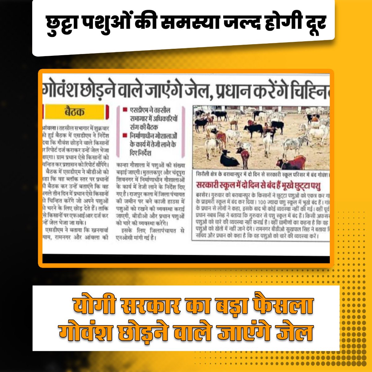 pinki_didi420's tweet photo. @samajwadiparty आवारा जानवरों से मुक्ति के लिए हर जिले में गौआश्रय केन्द्र बन रहे हैं, जनता को जल्दी इनसे निजात मिलेगी। https://t.co/9gYyXRXyju
