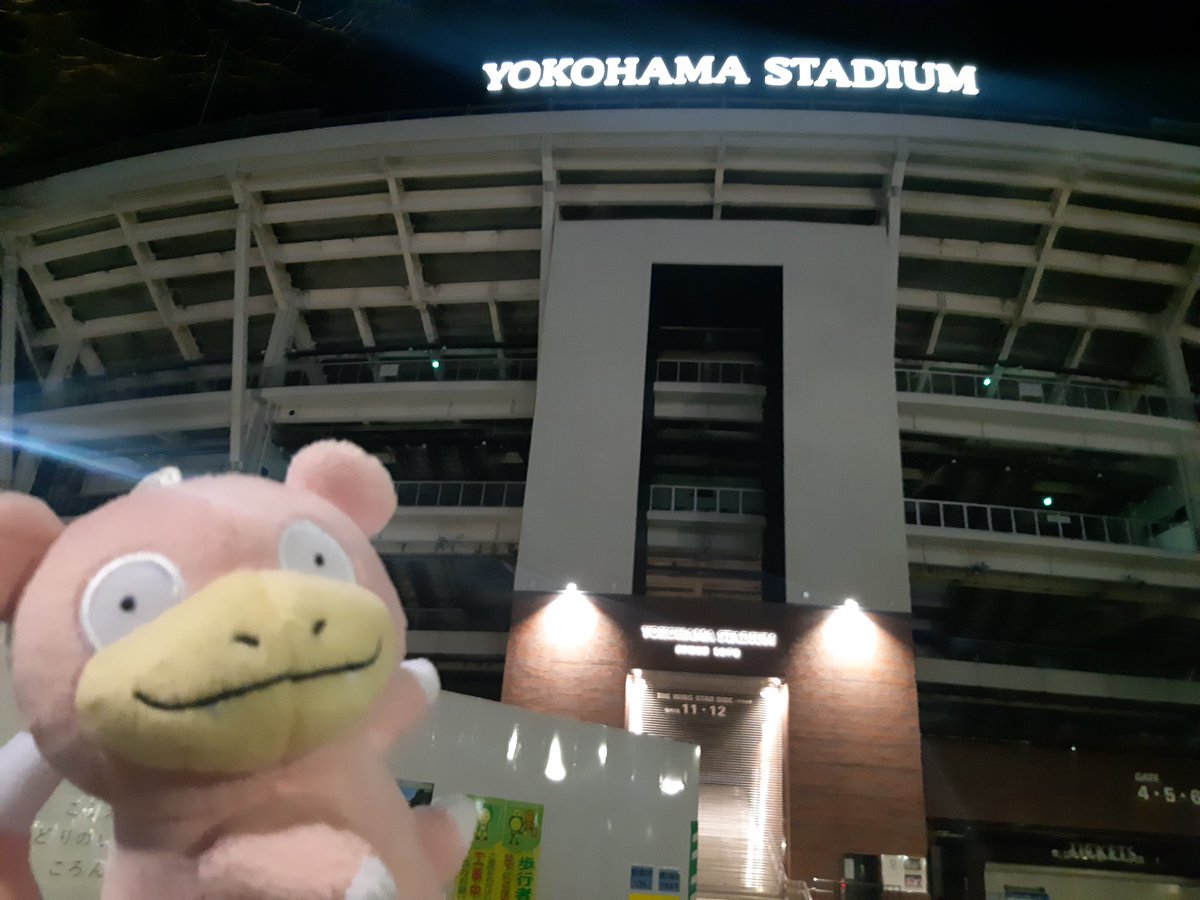 mimo_umipedia's tweet photo. ヤドンくん…横浜スタジアムだよ…😊😊
WRESTLE GRANDSLAM
in横浜スタジアム、やってほしいよなぁ…
#ヤドンくんといっしょ #njpw #njwgs https://t.co/vZVxV5SOIc