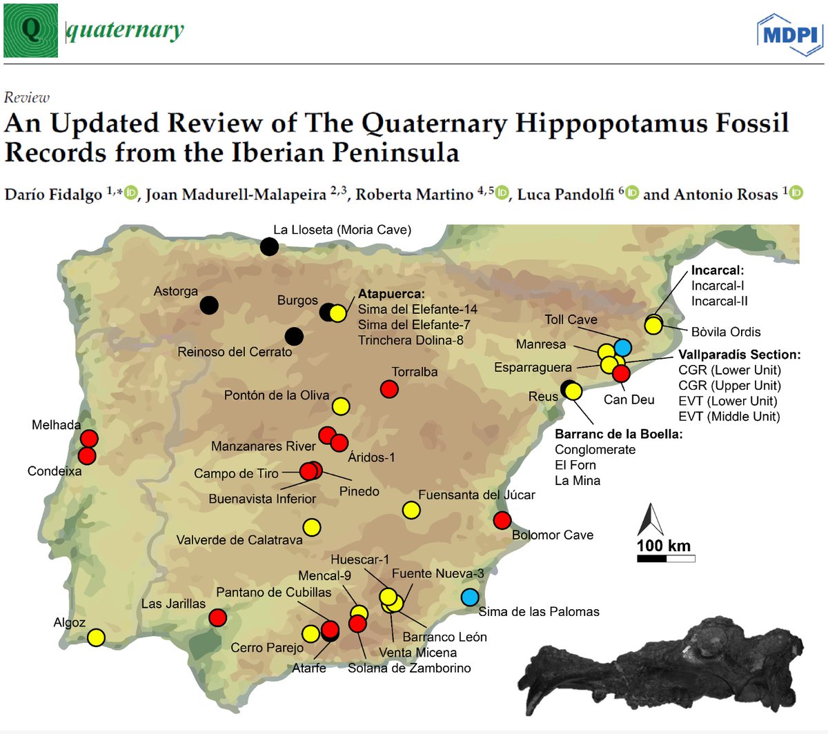 Give our new baby some love 🦛👇🏾

An Updated Review of The Quaternary Hippopotamus Fossil Records from the Iberian Peninsula
@Roberta__aska @LucaPaleo

mdpi.com/2632768 #mdpiquaternary #Hippopotamus #Quaternary #Palaeontology #Iberia
Vía @Quaternary_MDPI