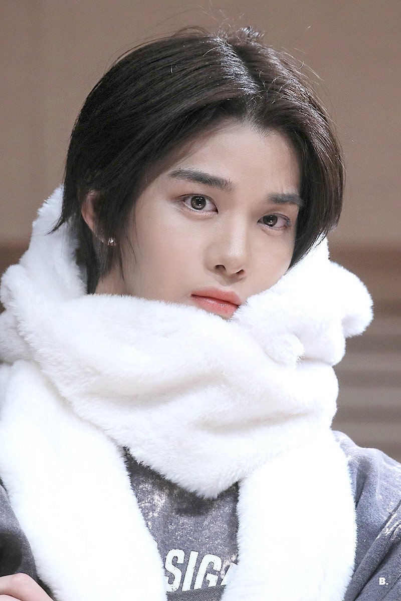 B. 비닷 tweet media