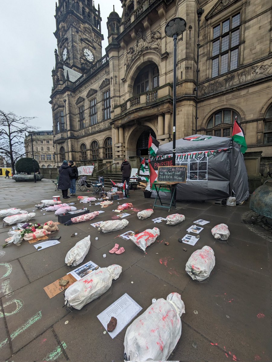 Sprightly Whiteley tweet media