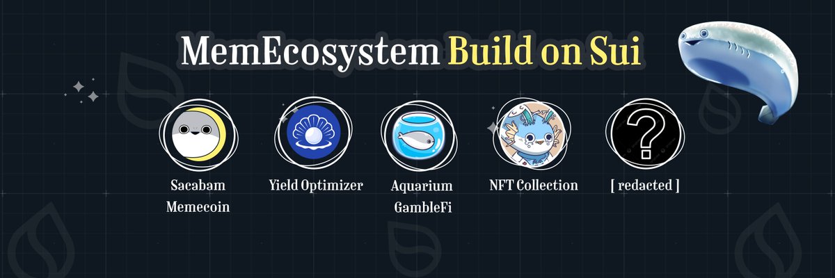 No price is too high, No vision is too big! 

$SCB Memeconomic will drive the next bull on $SUI