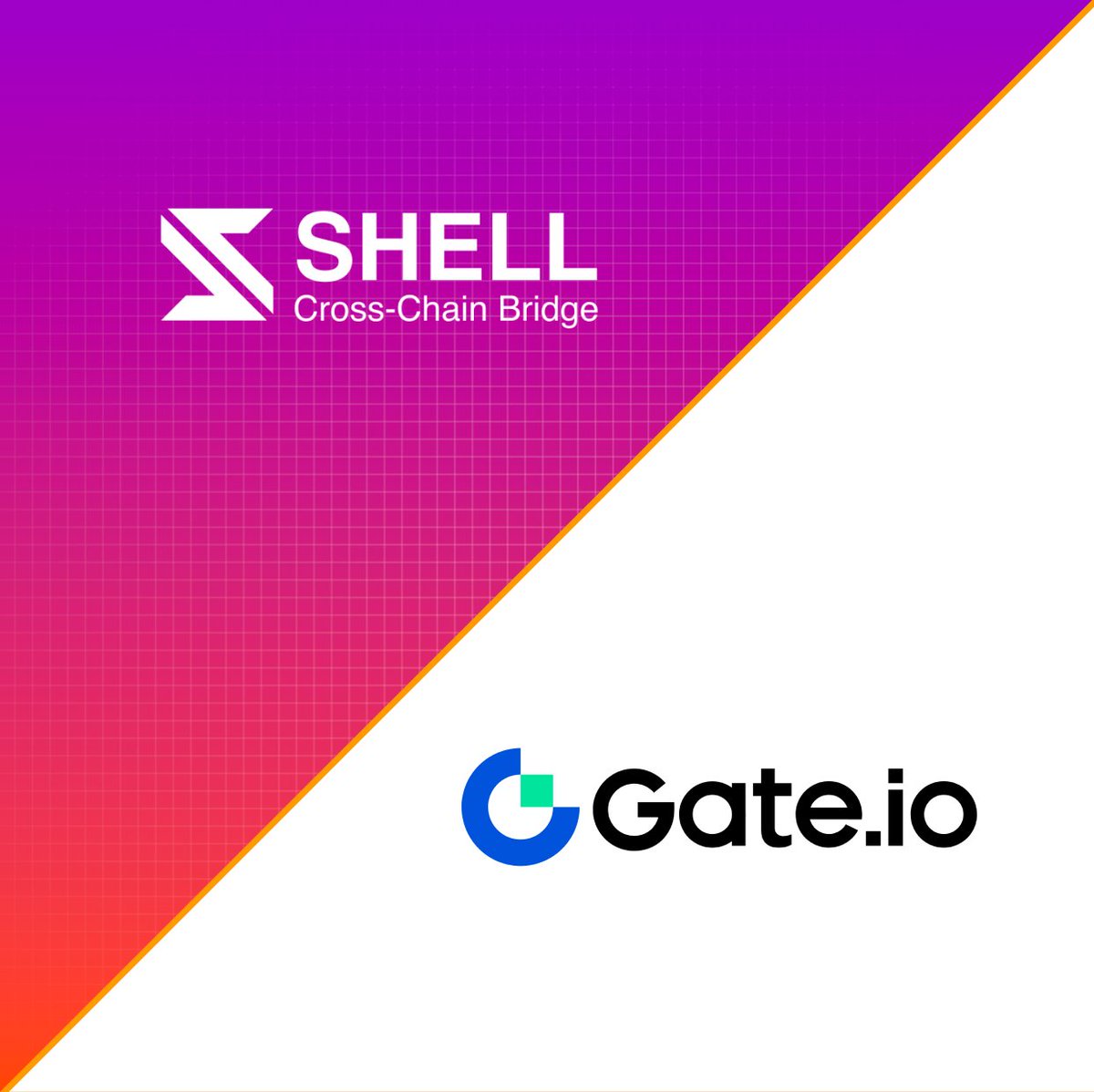 SHELL (💜, 🧡) tweet media