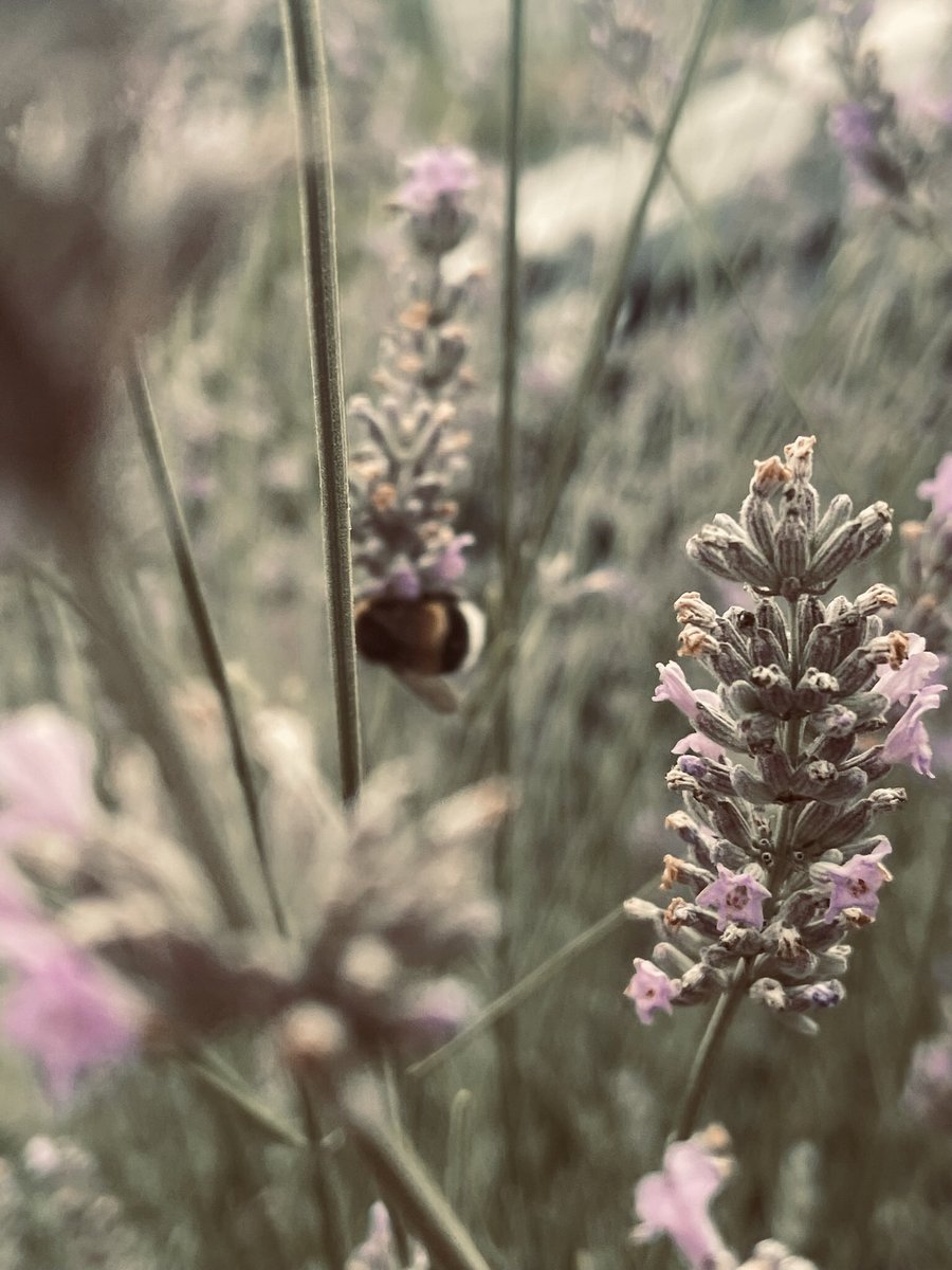 BellaFeras's tweet photo. Summer where are you? Ich vermisse den Sommer. https://t.co/nThkXkB9o8