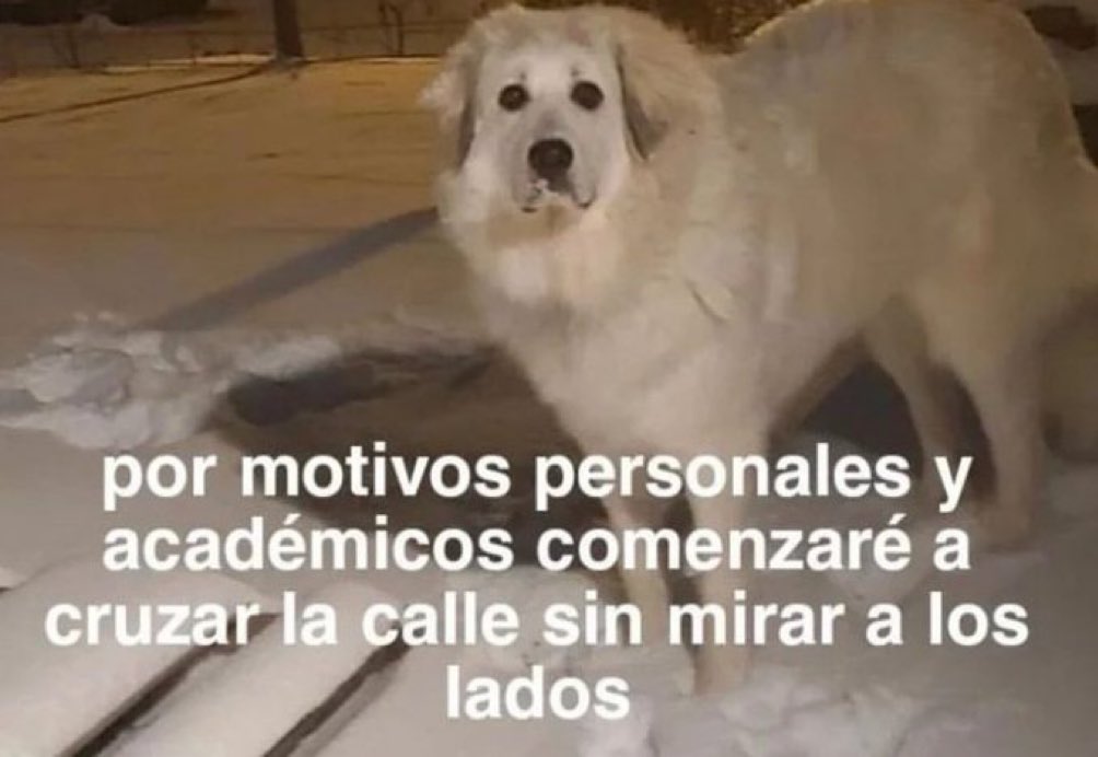 skereunpesado's tweet photo. https://t.co/riOqUkk9qQ