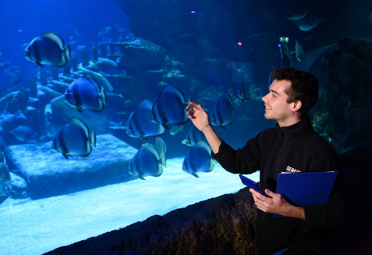 StripeCommunications tweet media