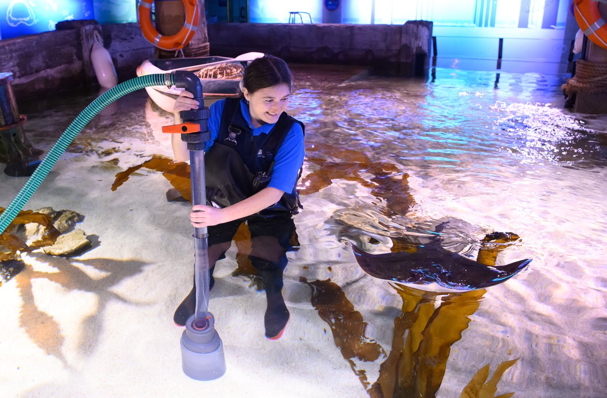 StripeCommunications tweet media