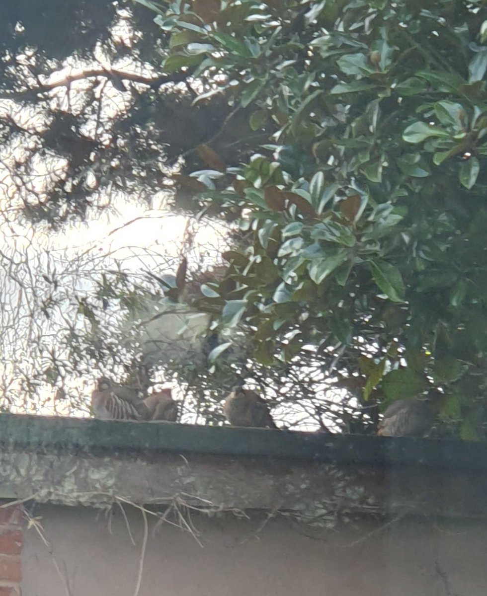 Jo Evans tweet media