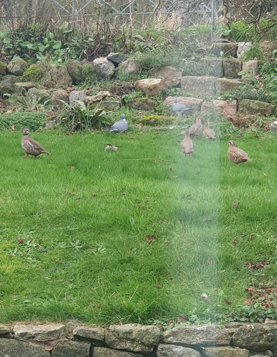 Jo Evans tweet media