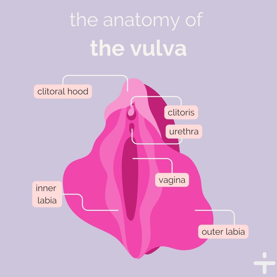 🌸 Let's clear the confusion! 🌸 Many mix up vulva and vagina, but they're not the same! 💡 The vulva includes everything you see outside; the vagina is inside. Knowledge is power! 💪 #KnowYourBody #VulvaVsVagina #SexualHealthEducation