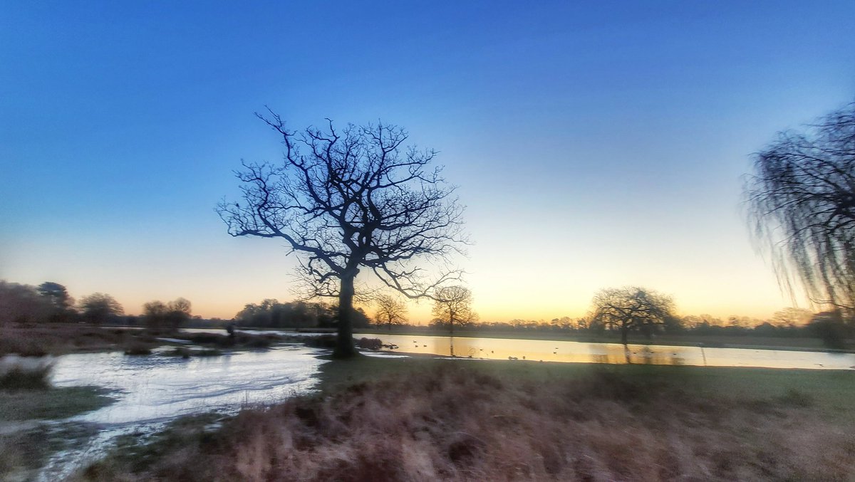 Cold January morning. #naturelovers #landscapephotography #visitrichmond #January @metoffice @bbcweather @SallyWeather @itvlondon @Piethagoram @Natures_Voice