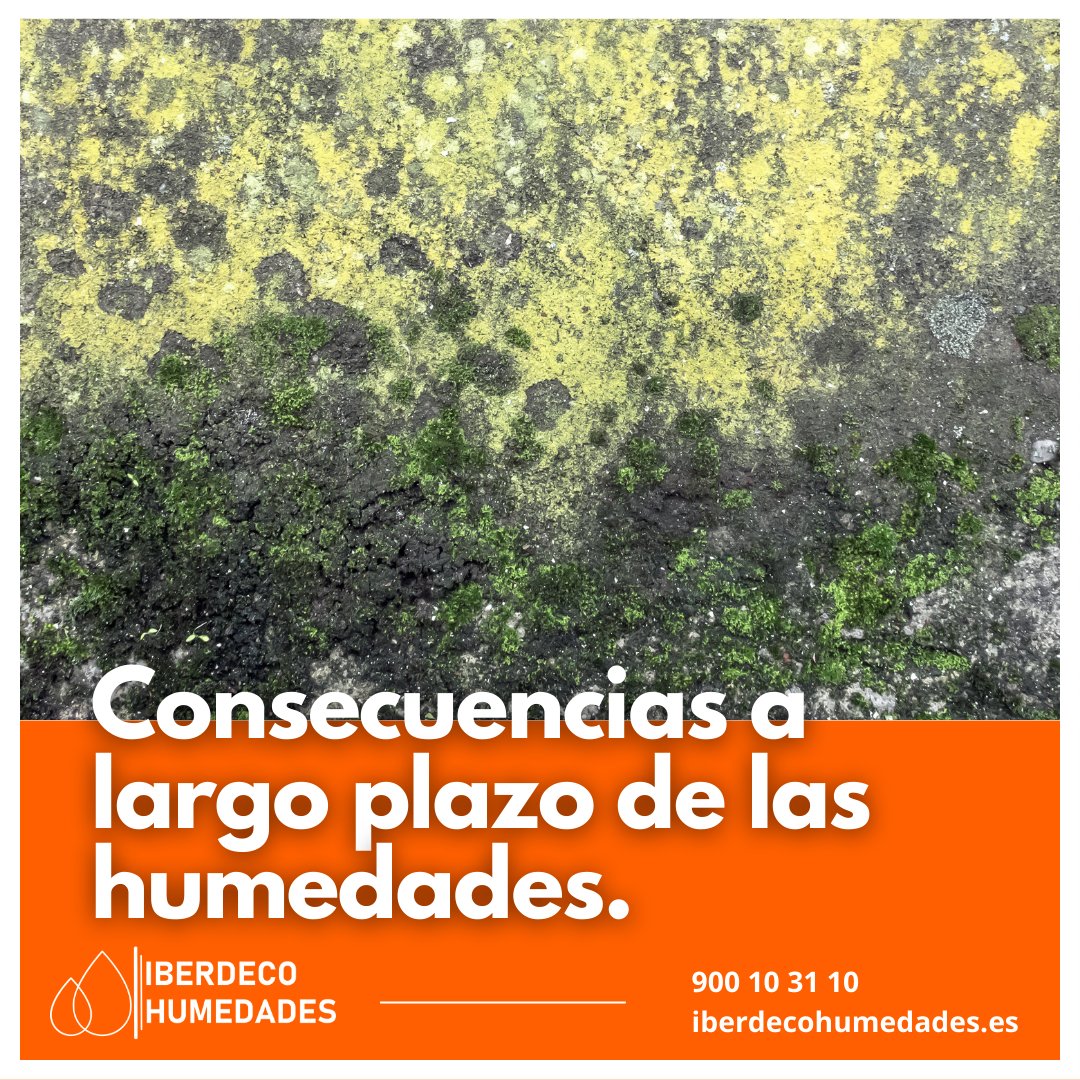 Iberdeco Humedades tweet media