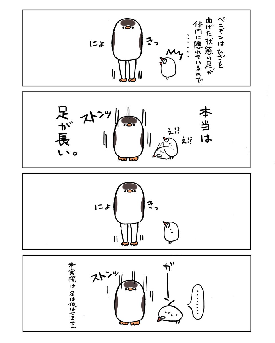 ペンギンの脚 