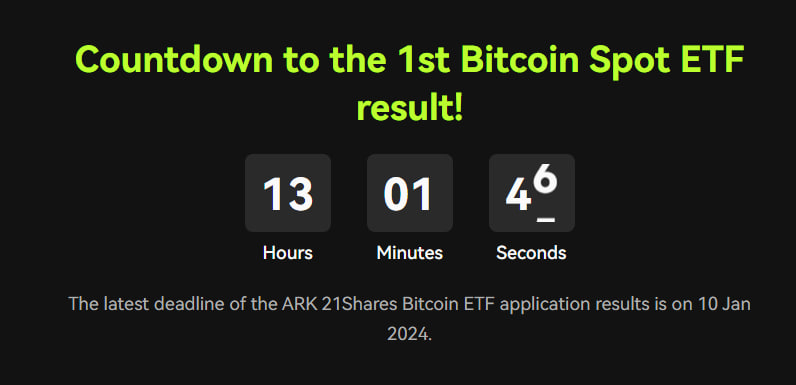 BlueSale Official tweet media