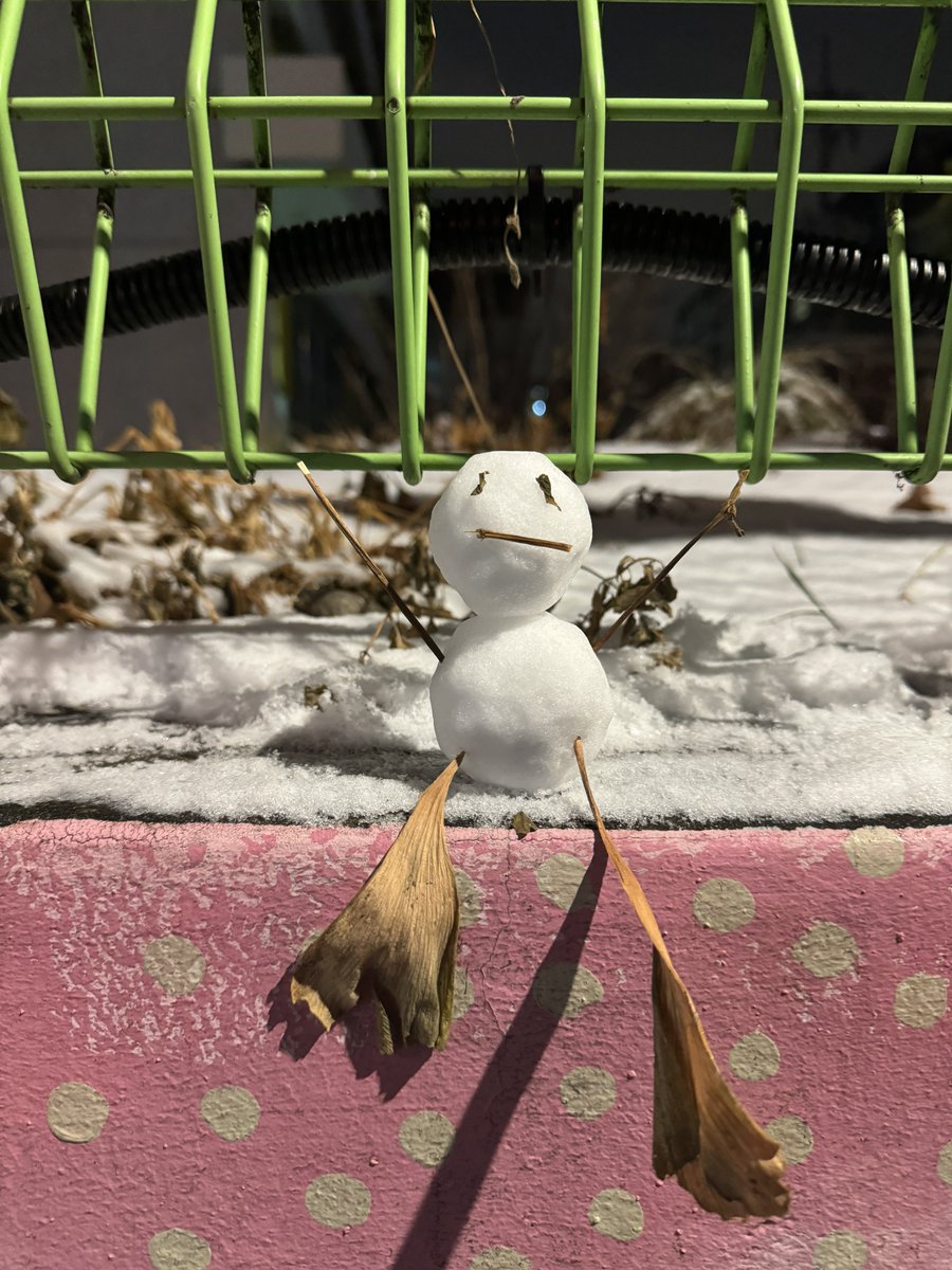 TIOT_NOW's tweet photo. [#준현]
남은 눈이 이고빠께 옶또......☃️

#금준현 #KUMJUNHYEON
#TIOT #티아이오티 https://t.co/uo5FZUwlPD
