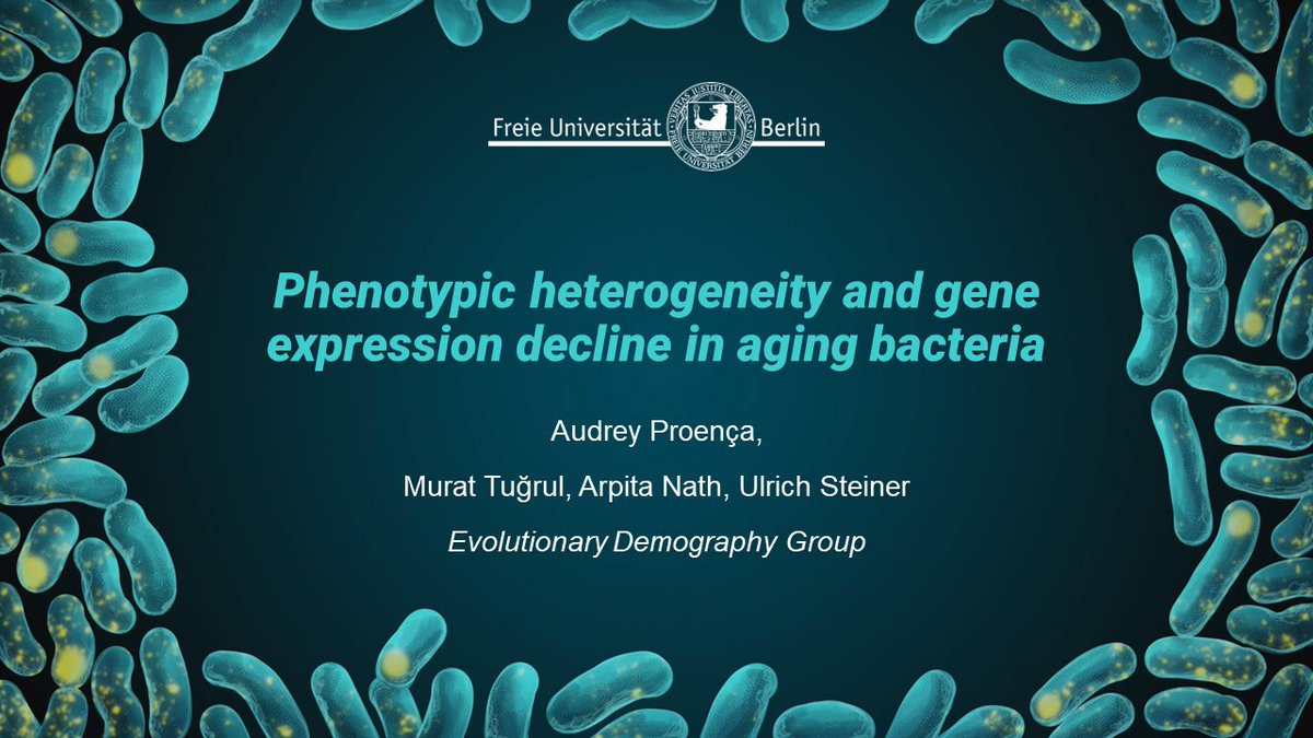 Thanks #MEEhubs2024 for the opportunity to present my work online, despite the visa delays that prevented me from joining in Lausanne. It was great to interact with the hubs this morning!