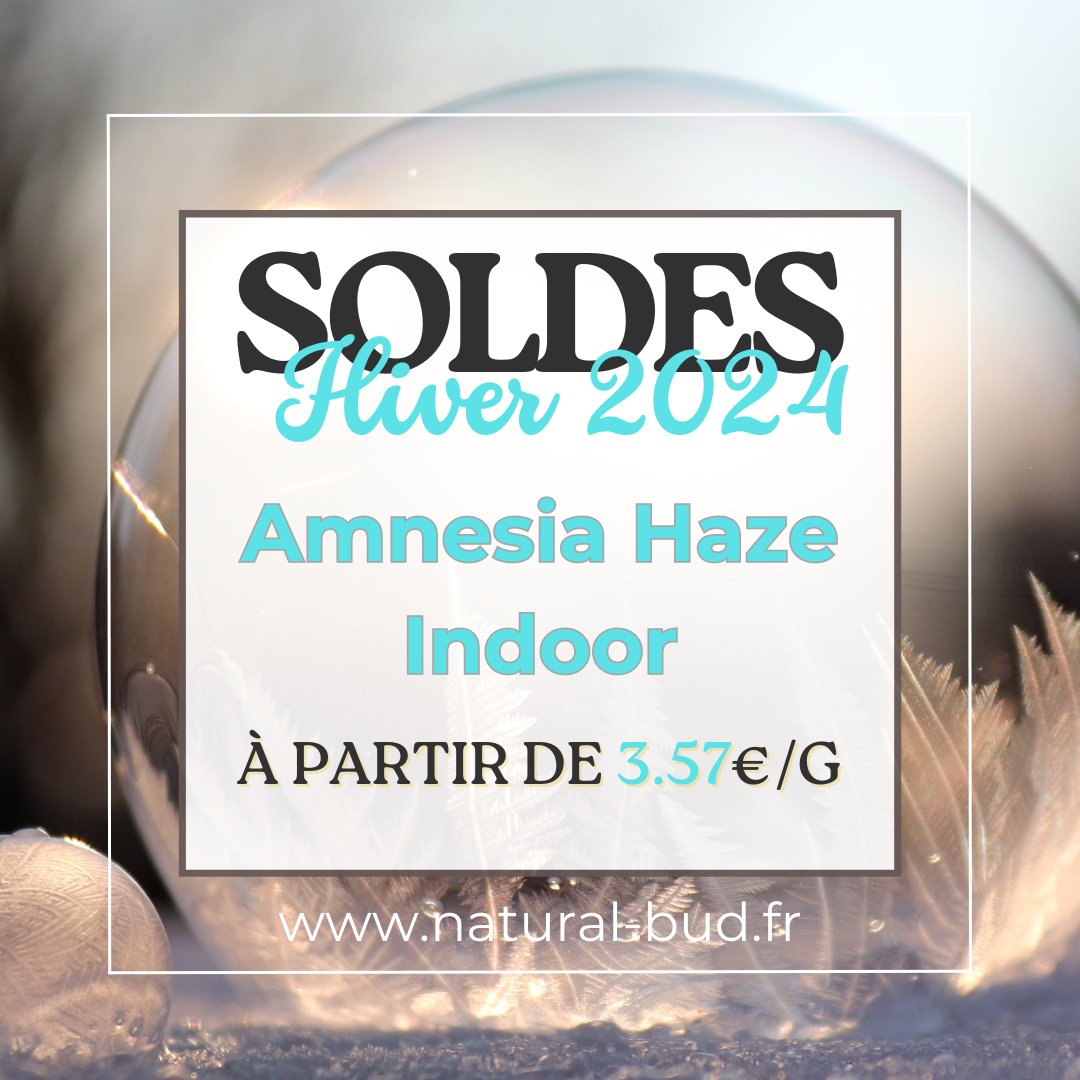 🌿 Amnesia Haze - Indoor 🌿

Découvrez notre Amnesia Haze - Indoor à partir de 3.57€/g

natural-bud.fr/products/fleur…

#momentdetente #bienetre #naturel #antistress #antidouleur #detente #zen #plaisir #relax #promo #réduction #venteflash #cbdshop #cbdfrance #promotion #cbd #soldes