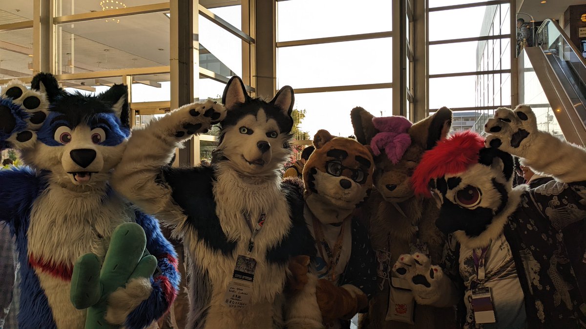 #JMoF2024 麥林 マグナムさん宅のマグナムさん！　撮影の余韻に浸っていたらﾎﾟﾃﾎﾟﾃとやってきて、目があって「俺？　いいよぉ！」って感じで撮らせてもらいました。すごくフレンドリーでどんどんポーズが出てきました。撮られ慣れてますね。3枚目は周りの子も集まってきたのですが、流石に名前が