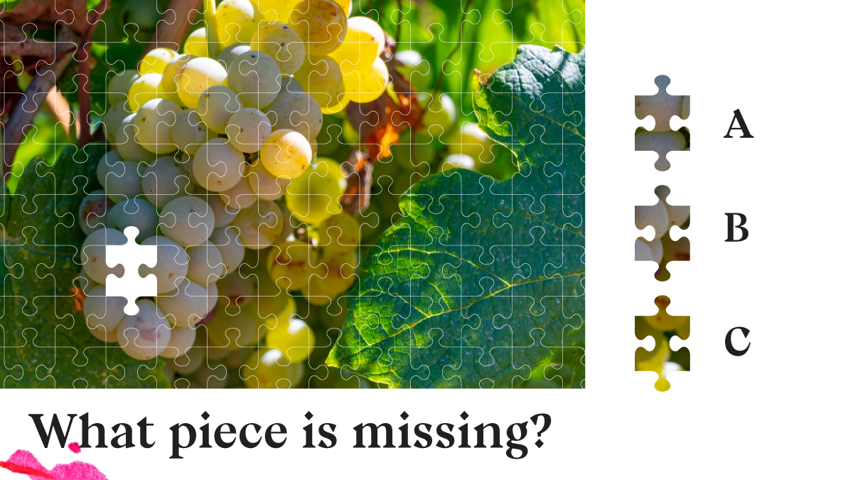 #WhiteGrenache is used for the production of sweet and stale wines that are consumed as dessert wines.

Can you tell us which piece is missing to complete the #GrayGrenache cluster?

#EuropeanQualityWines #EnjoyitsfromEurope #GarnachaWine #GrenacheWine