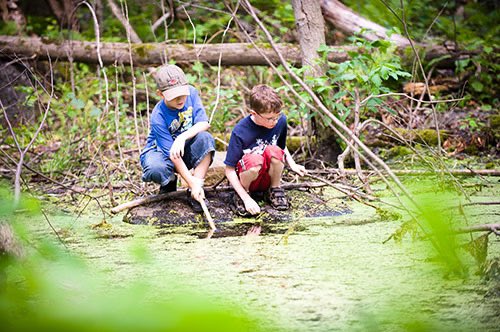 Wil jij meedenken over water &amp; groen in de gemeente Best? Door klimaatverandering wordt het steeds belangrijker om na te denken over hoe wij omgaan met water &amp; groen. Inwoners van Best kunnen zich aanmelden via info@bestduurzaam.nl