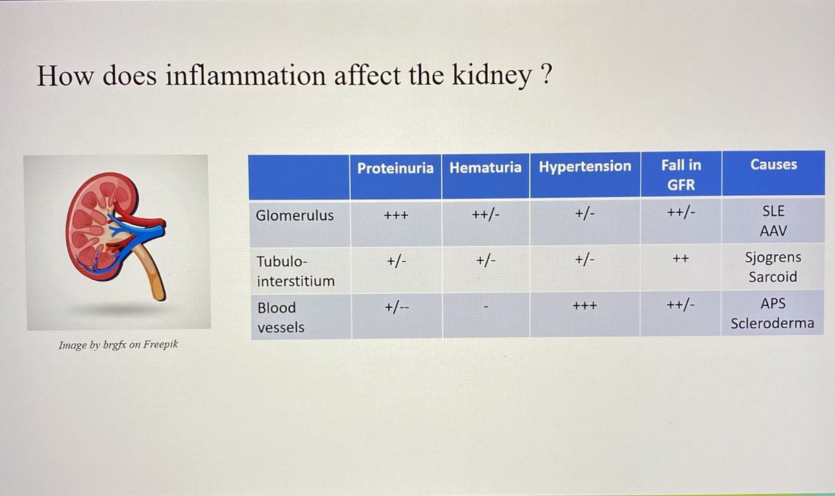 Kidney Inflammation, 3 Components:  
1/ Glomerulus: Proteinuria ⬆️ always certainly comes from the Glomerulus (GN)
2/ Tubulo-interstitial involvement may have very little or no proteinuria/Haematuria 
Usually present with ⬇️ eGFR
3/ Blood Vessel involvement. Severe HTN and ⬇️eGFR