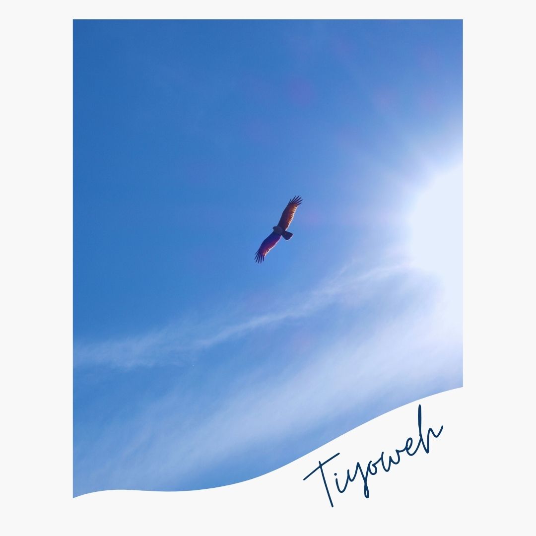 wayofartemis's tweet photo. Tiyoweh - this Seneca word for "entering the stillness" had me mesmerized. Try this today. Take a moment to pause. Sit in silence with your animal companions and ask them to show you a glimpse of what stillness feels like. Your life will be richer in that shared stillness. https://t.co/Nq6SN1jirY