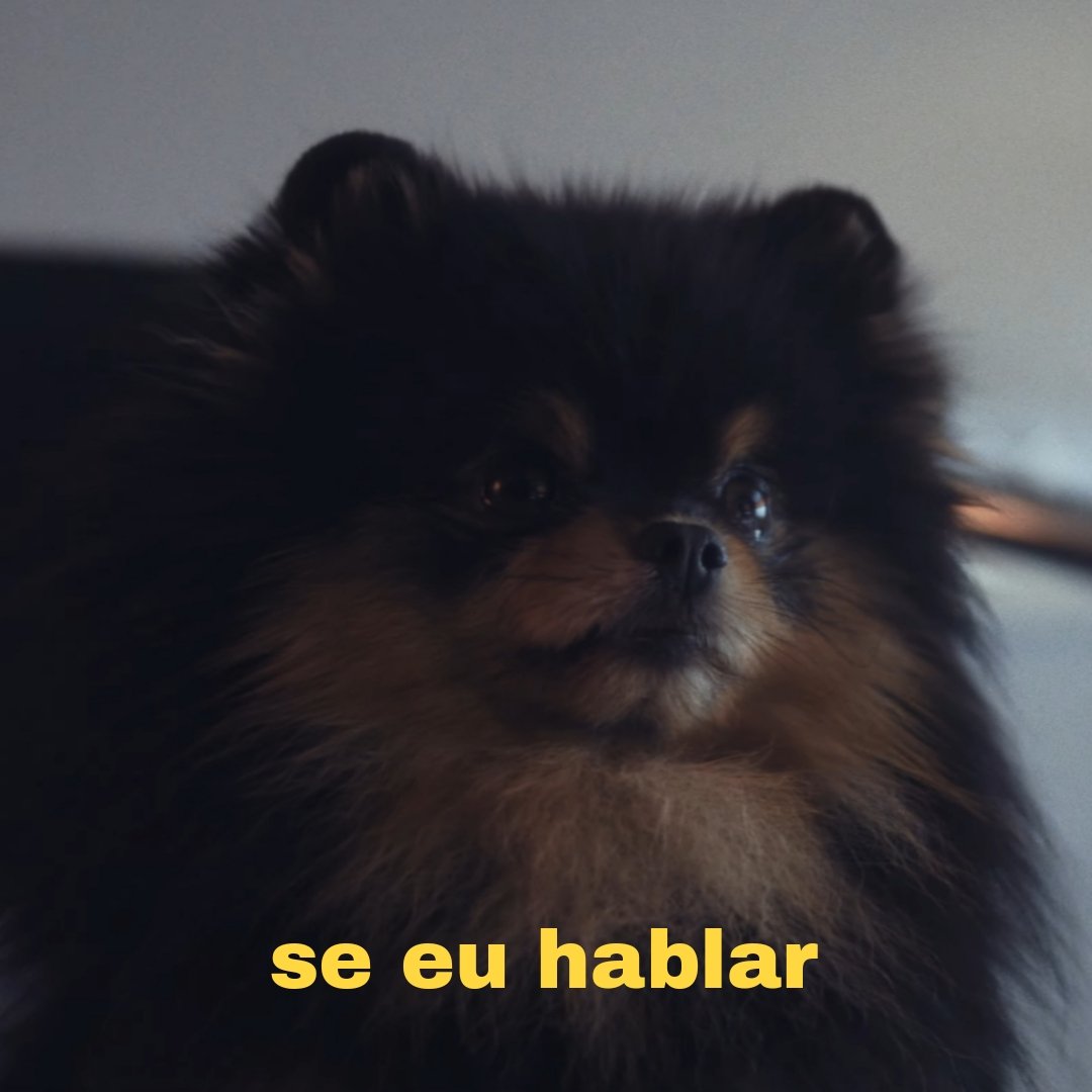 00Siwat_sk's tweet photo. @atthapunn Até parece que se um velho do carrinho de corrida pararece na vida desse povo eles não aproveitaram a oportunidade https://t.co/dbmR8wkZ4l