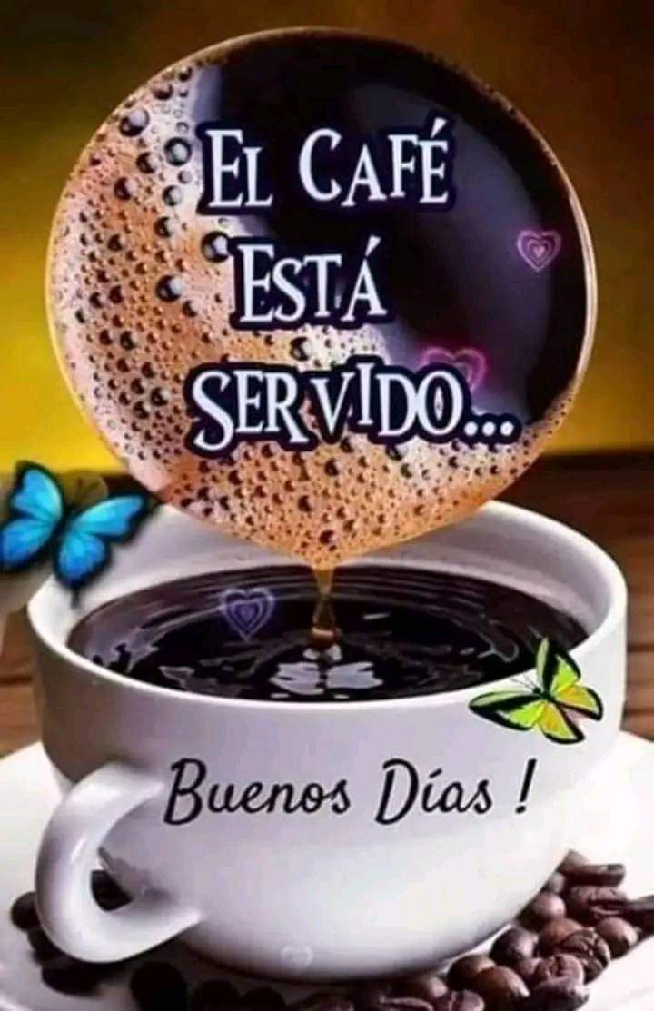 Alondra tweet media