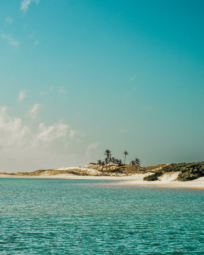 MayurRa52657025's tweet photo. Sorry, Maldives, we’re dating Lakshadweep now. 

#NewLoveLakshadweep #talkofthetown #lakshadweep #boycottmaldives #indiantourism #Maldive https://t.co/HgyeV7TA0F