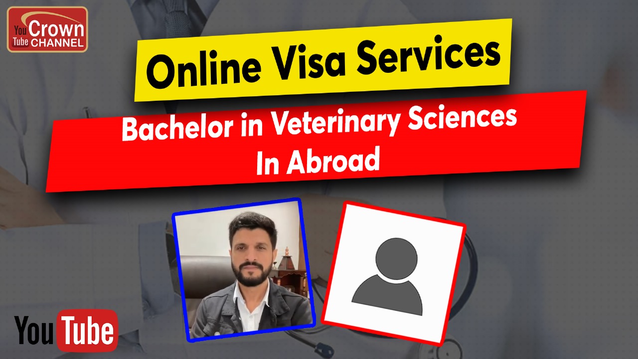How to watch the bachelor abroad sale