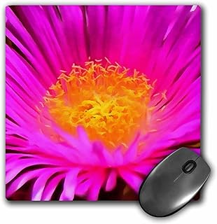 TaicheTees's tweet photo. https://t.co/fCKi3yZfNd : Artistic Magenta Pink Aster Flower Floral Art#taiche #3drose #asterflower #aster #flowers #flowerphotography #flower #nature #flowersofx #garden #gardening #daisy #painting #florist #asters #krisan #mawar #newbalance #bungamurah  https://t.co/62nEu1e1Rk https://t.co/5F7NxvemYm