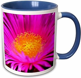 TaicheTees's tweet photo. #PhoneRings https://t.co/fCKi3yZfNd : Artistic Magenta Pink Aster Flower Floral Art#taiche #3drose #asterflower #aster #flowers #flowerphotography #flower #nature #flowersofx #garden #gardening #daisy #painting #florist #asters #krisan #mawar #newbalance  https://t.co/EExfkQO2uA https://t.co/FmGEVgMCgQ