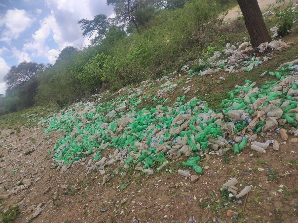 *Green Shango Environmental Trust* (GSET) is deeply concerned and outraged by the plastic waste that still litters the ground at the 45km peg Hwange-Bulawayo road, where a haulage truck carrying pet drinks and mineral water was involved in an accident several weeks ago. This is a