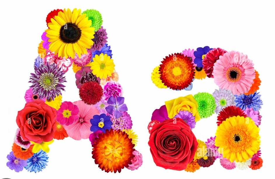 Alaayous3's tweet photo. #loyal #AMY🅰️
@Alaayous3
@hdn_na
@Ozlerntr
@maha8321553
@Su_n_3
@1lli1p
@lb_alani
@dlo36943
@Rawan9106
@poiuytmn5
@AlshhA43465
@MTyby82604
@zahrat_lotas
@Shanzo_05
@szentandrassym
@AmyrtMha93705
@koko_queen62224
@Marina77143439
@AAlsamrayy51512
@UmMustafa178298
@ANAGARC01857906 https://t.co/gCdGHhlHXF