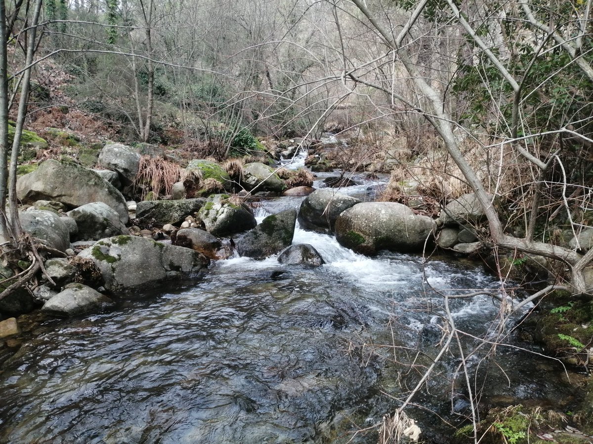 tano_gc's tweet photo. Ayer estuvimos por el Valle del Tiétar con @PabloSoto18 recogiendo muestras para evaluar la actividad microbiana y la temperatura en ríos #IberRios. Preciosas gargantas y grandes caudales. https://t.co/etiqmmG8N6