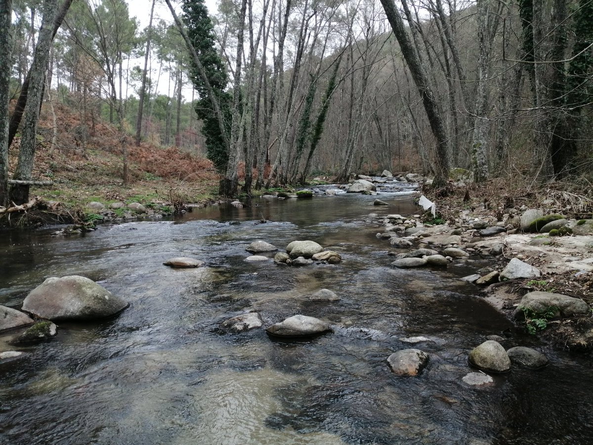 tano_gc's tweet photo. Ayer estuvimos por el Valle del Tiétar con @PabloSoto18 recogiendo muestras para evaluar la actividad microbiana y la temperatura en ríos #IberRios. Preciosas gargantas y grandes caudales. https://t.co/etiqmmG8N6